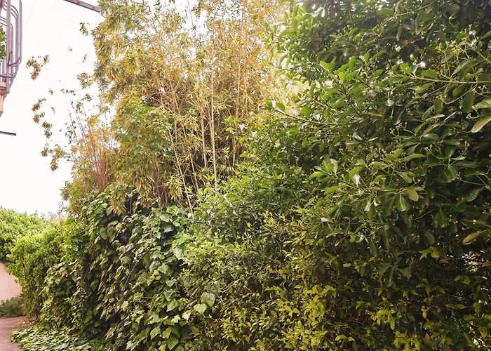 Casa Daniela By Affitti Brevi * ريميني